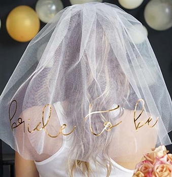 Bride Veil Bachelorette Party Veil Bridal Shower Veil Bride to Be Veil